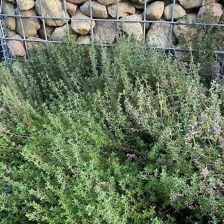 By Wise Ka With Sauna